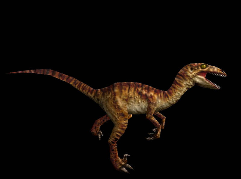 Carnivores Dinosaur Hunter Velociraptor, carnivores, dinosaur, velociraptor, hunter, HD wallpaper