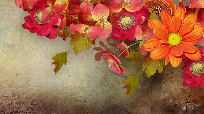 Autumn Beginning, fall, autumn, leaves, eucalyptus, summer, flowers, vintage, HD wallpaper