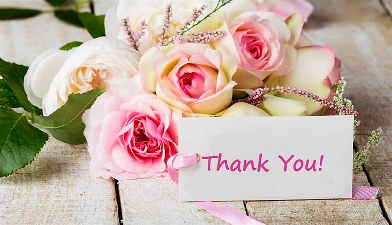 Hd Thank You Rose Wallpapers Peakpx