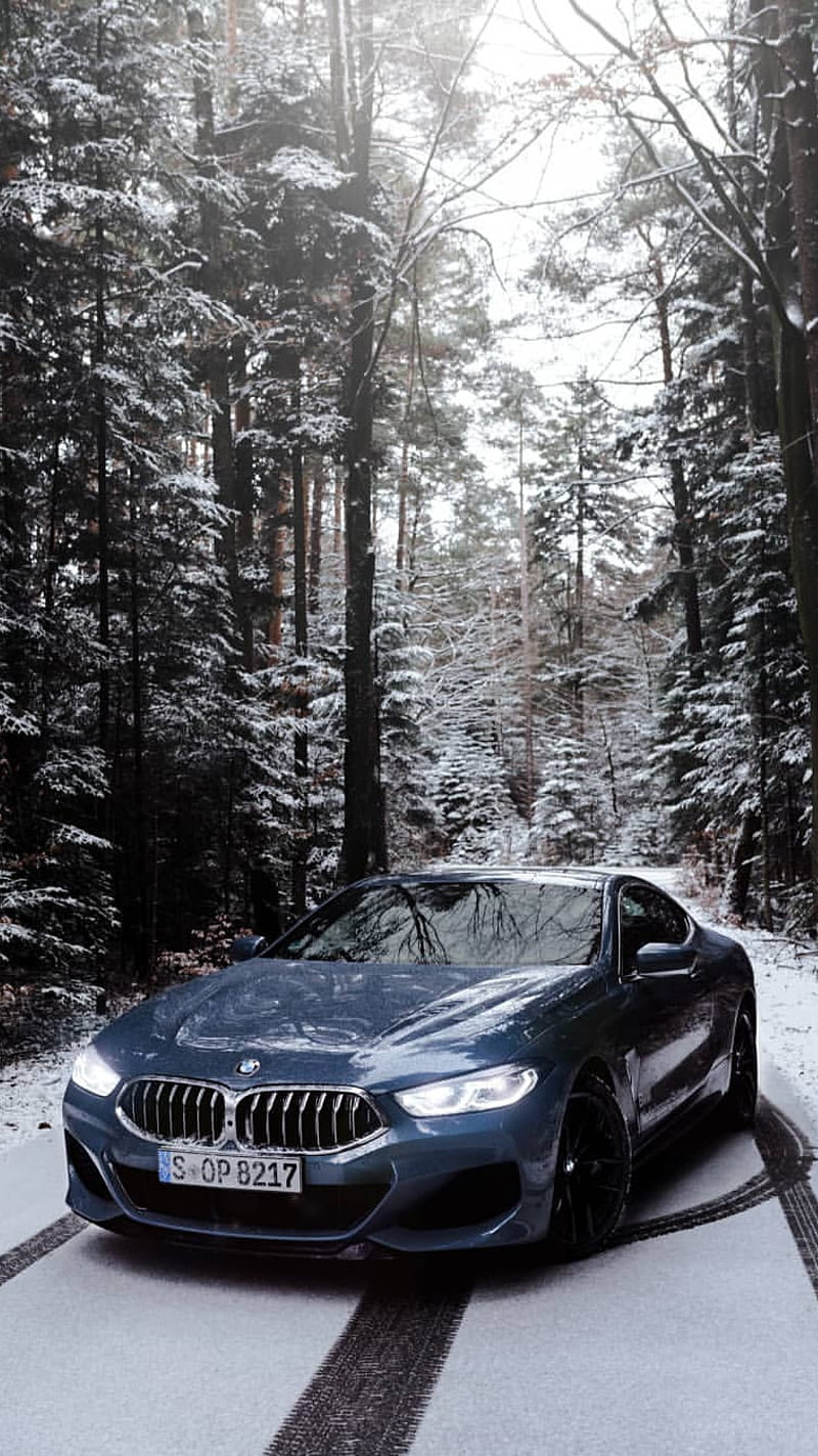 BMW M850i, 8 series, 8er, coupe, winter, car, vehicle, m power, luxury, HD phone wallpaper