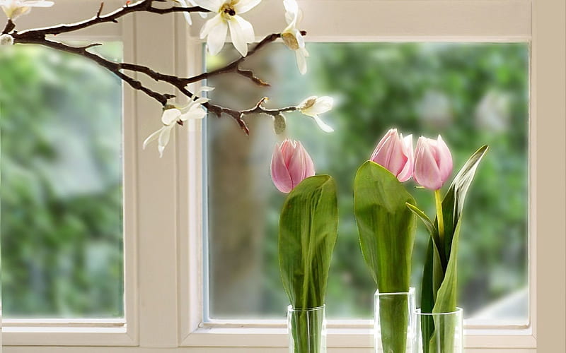 flowers, tulips, sill, HD wallpaper