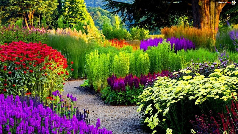 beautiful garden, garden, flowers, nature, bonito, HD wallpaper