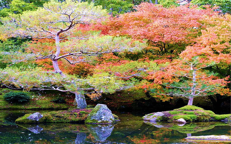 Hamilton Gardens, New Zealand, park, trees, lake, water, colors, reflections, HD wallpaper Hamilton Gardens, New Zealand, park, trees, lake, water, colors, reflections, HD wallpaper