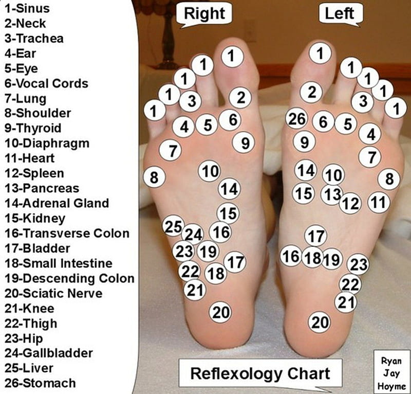 reflexology chart, soles, health, massage, points, HD wallpaper