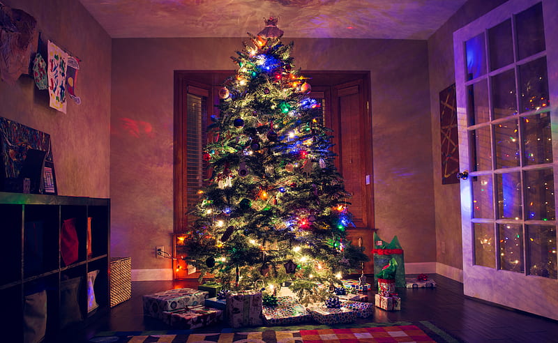 Christmas tree, happy, holidays, HD wallpaper | Peakpx