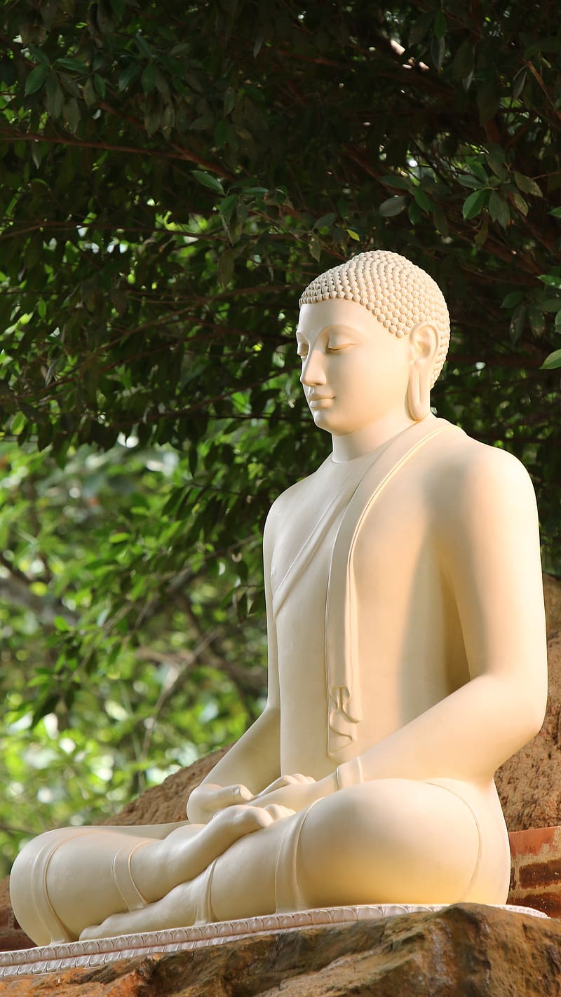 Lord Buddha White Statue, lord buddha, white, statue, meditation, god, trees, HD phone wallpaper