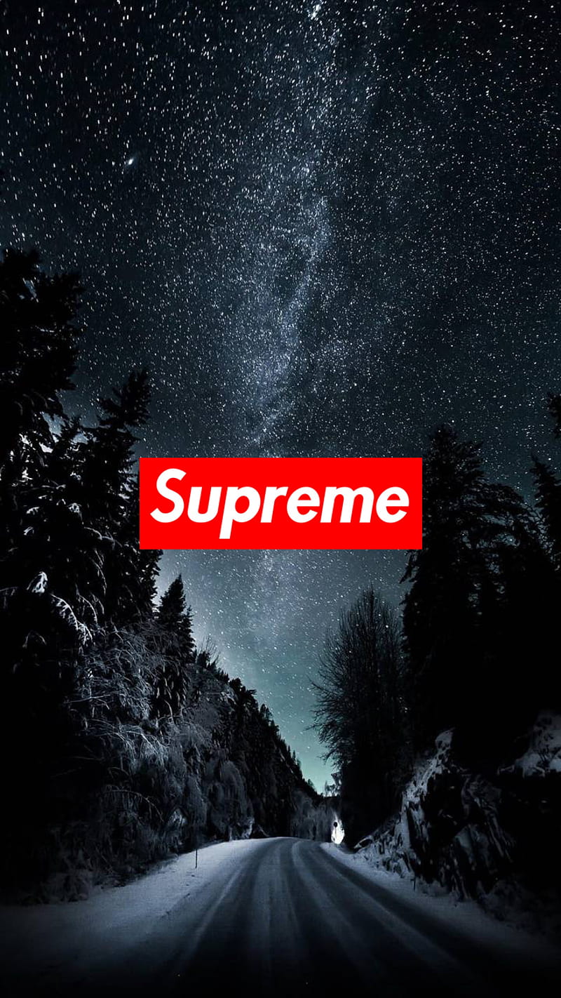 Supreme, forest, forest, logo, logos, snow, snow, HD phone wallpaper ...