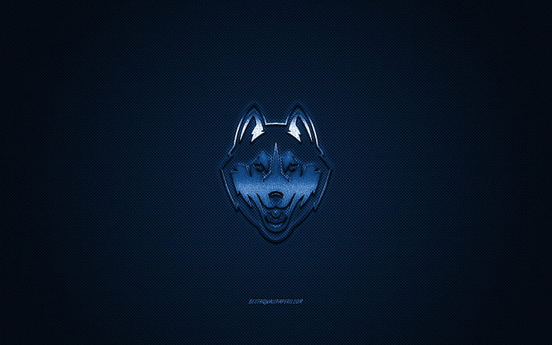 UConn Huskies logo, American football club, NCAA, blue logo, blue carbon fiber background, American football, Storrs, Connecticut, USA, UConn Huskies, Connecticut Huskies, HD wallpaper
