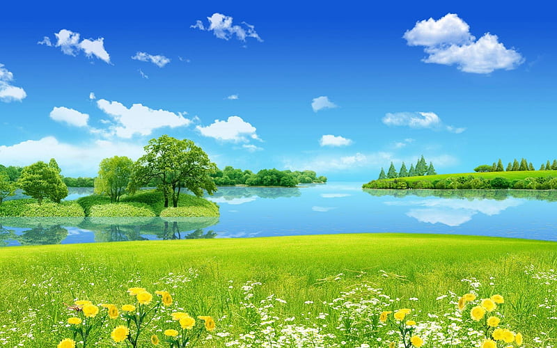 Vista de la naturaleza para usted, ver, relajarse, flores, naturaleza,  nubes, Fondo de pantalla HD | Peakpx