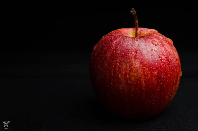apple, fruit, ripe, drops, macro, HD wallpaper