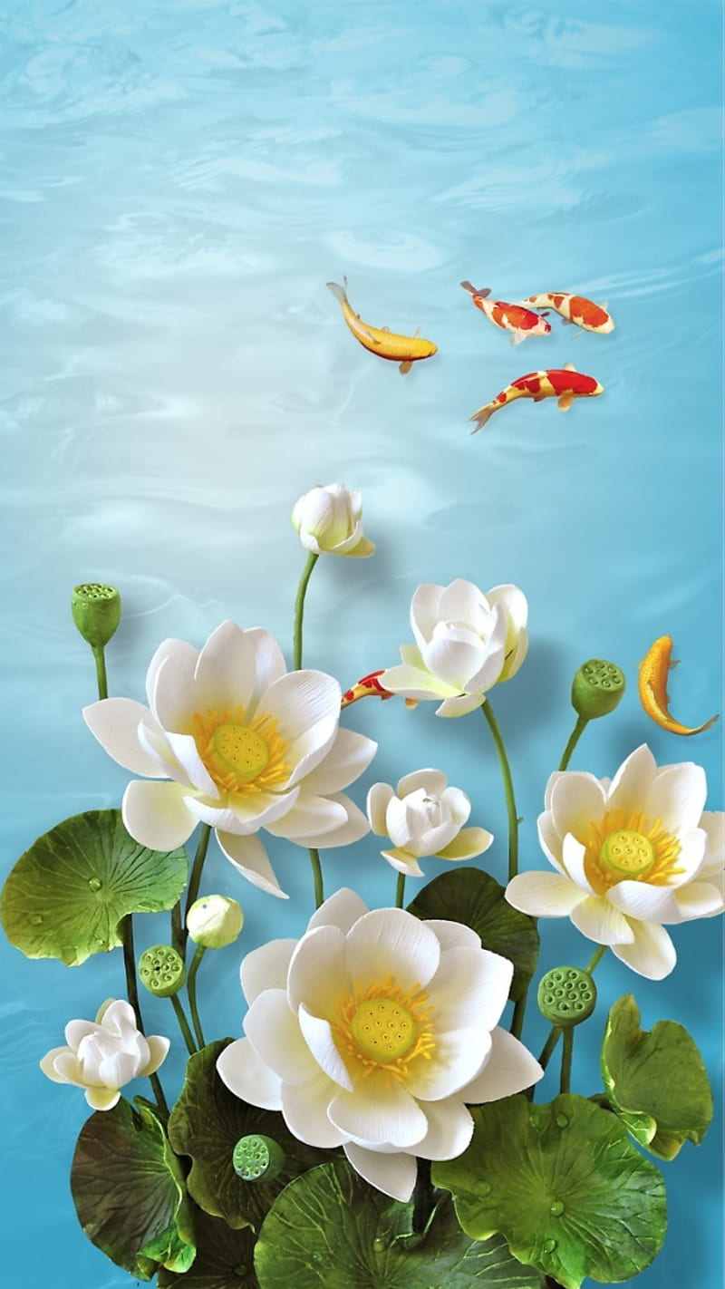 Nature, flowers, koi fish, leaves, lotus, water, white, HD phone wallpaper