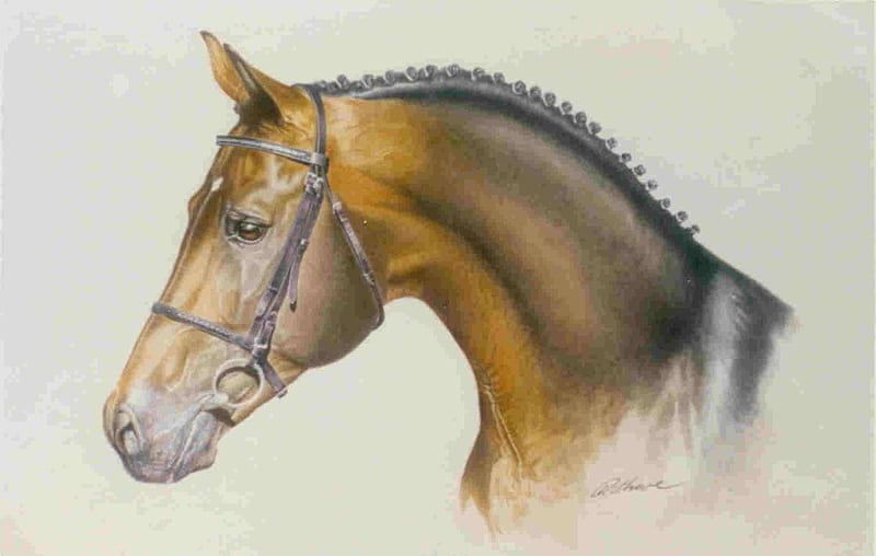 Horse Head Painting, animals, horses, HD wallpaper
