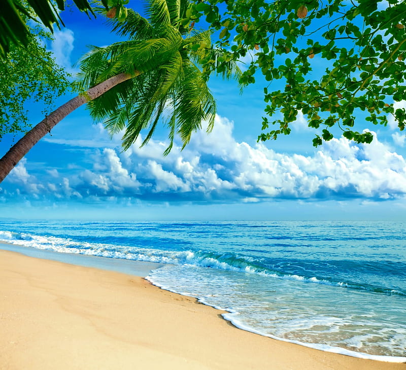 Tropical Paradise Ocean Palm Emerald Sky Sea Beach Sand Paradise Summer Hd Wallpaper