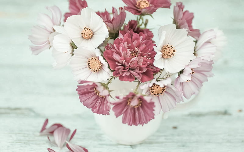 bouquet of flowers, chrysanthemum, aster, spring, HD wallpaper