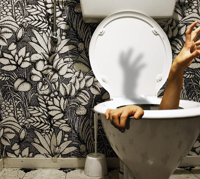 Toilet Hand, HD wallpaper