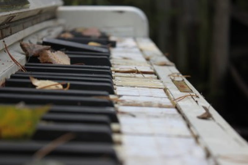 Old Piano autumn, broken, Keys Key, leave, old, piano, leaves, instrument, macro, instruments, old instrument, musical, HD wallpaper