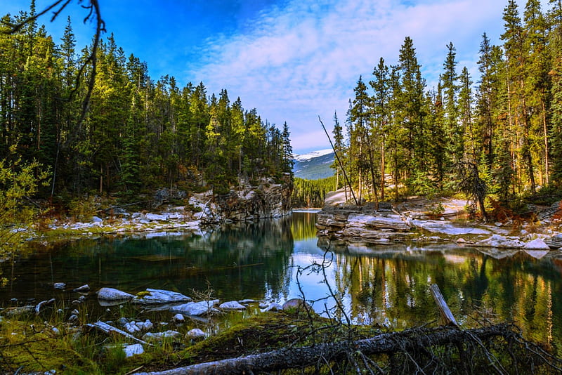 Horseshoe Lake, Canada, forest, snow, crystal water, Alberta, bonito, trees, lake, HD wallpaper