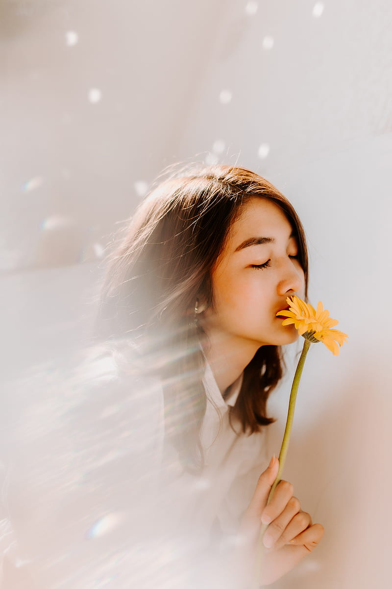 woman smelling on yellow flower, HD phone wallpaper