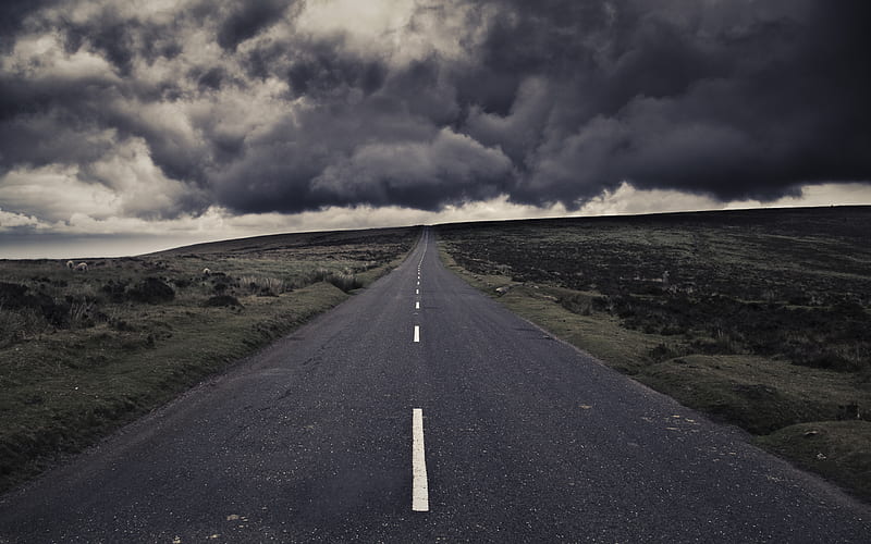 Storm Road, blacktop, rural, two lane, overcast, clouds, storm, sheep, prairie, nature, HD wallpaper