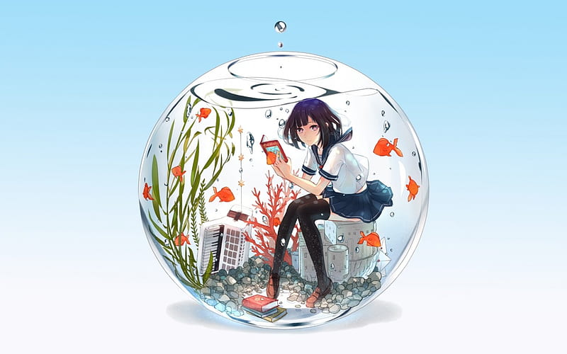 Wallpaper : anime, landscape, bubble, classroom, school uniform, fish  4032x2004 - AJIraq - 1777381 - HD Wallpapers - WallHere