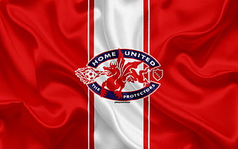 Young Lions FC silk texture, Singaporean football club, logo, emblem ...