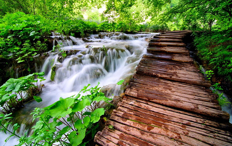 FOREST FLOW, flow, bridge, nature, river, falls, HD wallpaper | Peakpx