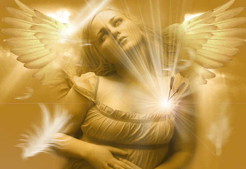 Angels Pain, wings, hurt, angel, yellow, abstract, angels, pain, fantasy, dove, HD wallpaper