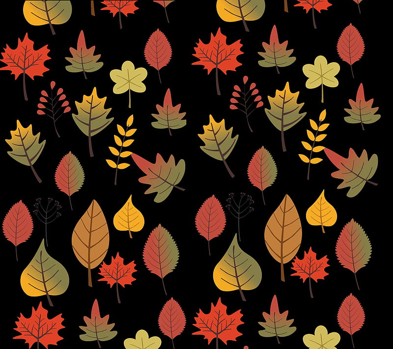 Nature Color 3, colorful, leaf, HD wallpaper