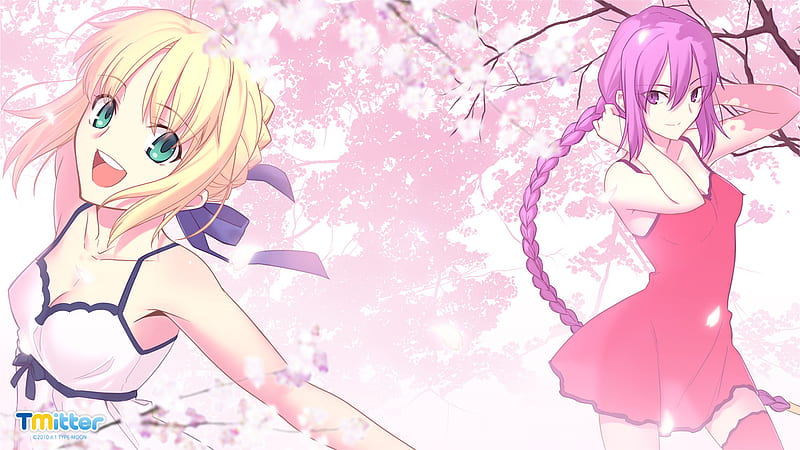 Fate Saber & Rider, pretty, sakura, , beautiful, stay night, cute, blossom, petals, girls, pink, cherry, HD wallpaper