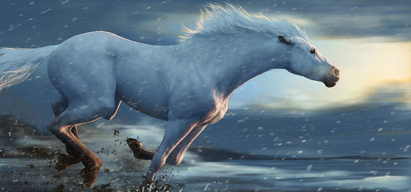 Running horse, ben judd, running, white, horse, blue, iarna, winter, luminos, cal, fantasy, HD wallpaper