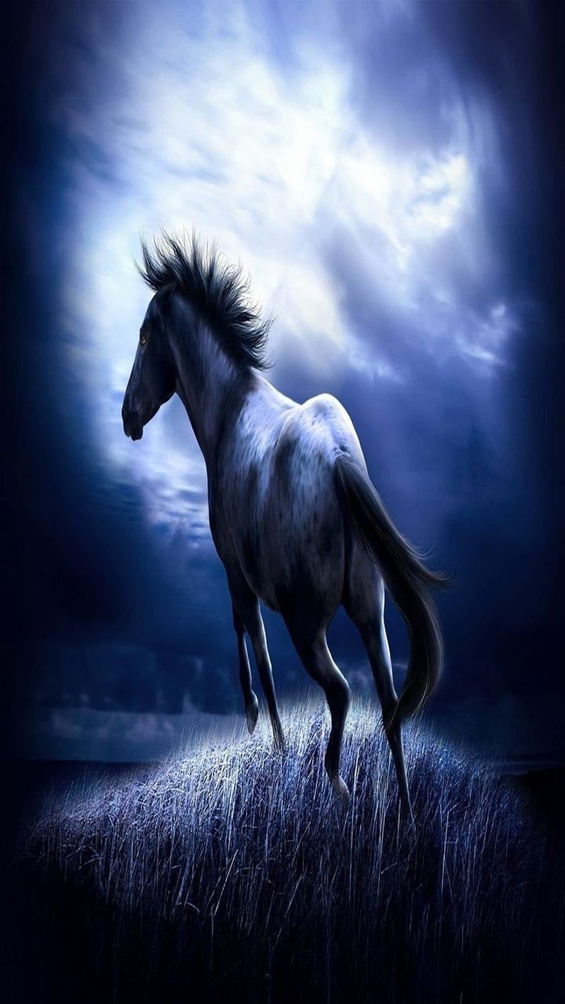 3D Animal Horse Wallpapers HD 2017 APK for Android Download