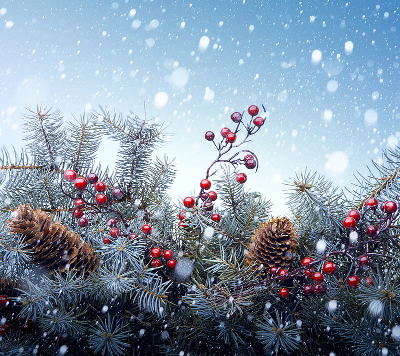 Christmas Branches, christmas decor, decoration, season, HD wallpaper