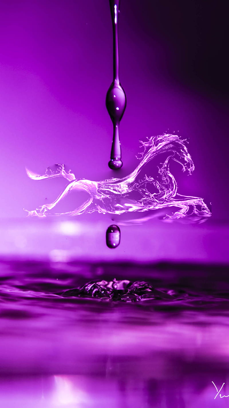 Water horse, drops, horse, purple, water, HD phone wallpaper