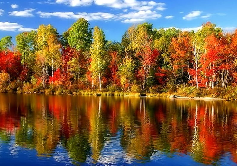 Gorgeous Autumn Day, Lake, Trees, Sky, Autumn, HD wallpaper | Peakpx