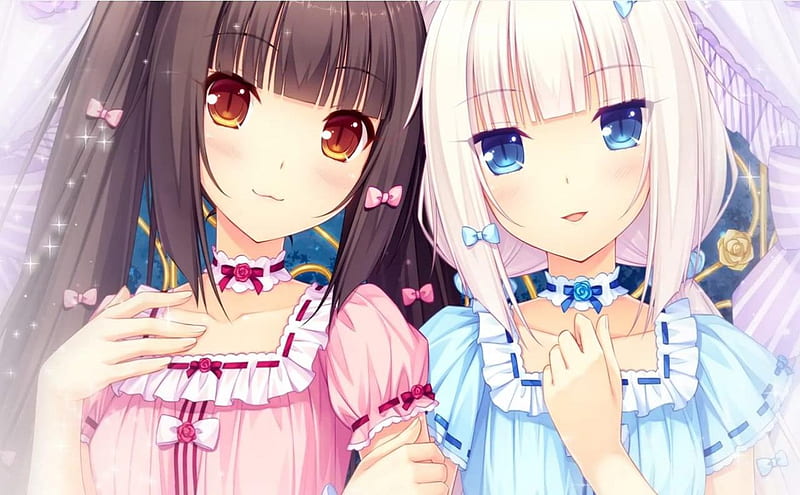 Catgirls Chocola & Vanilla, chocola and vanilla, rose, two girls,  thighhighs, HD wallpaper