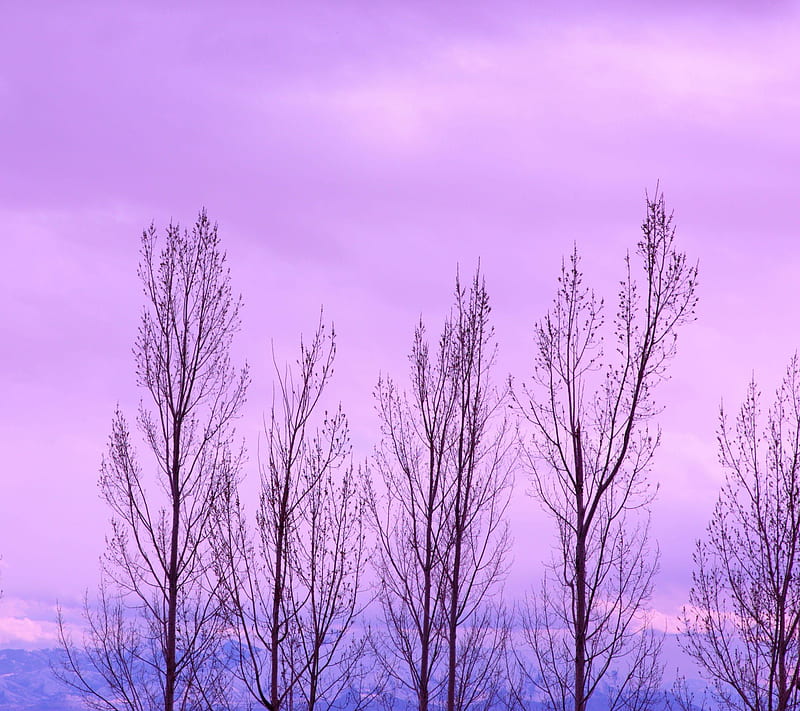 Purple Sky, purpel, HD wallpaper Purple Sky, purpel, HD wallpaper
