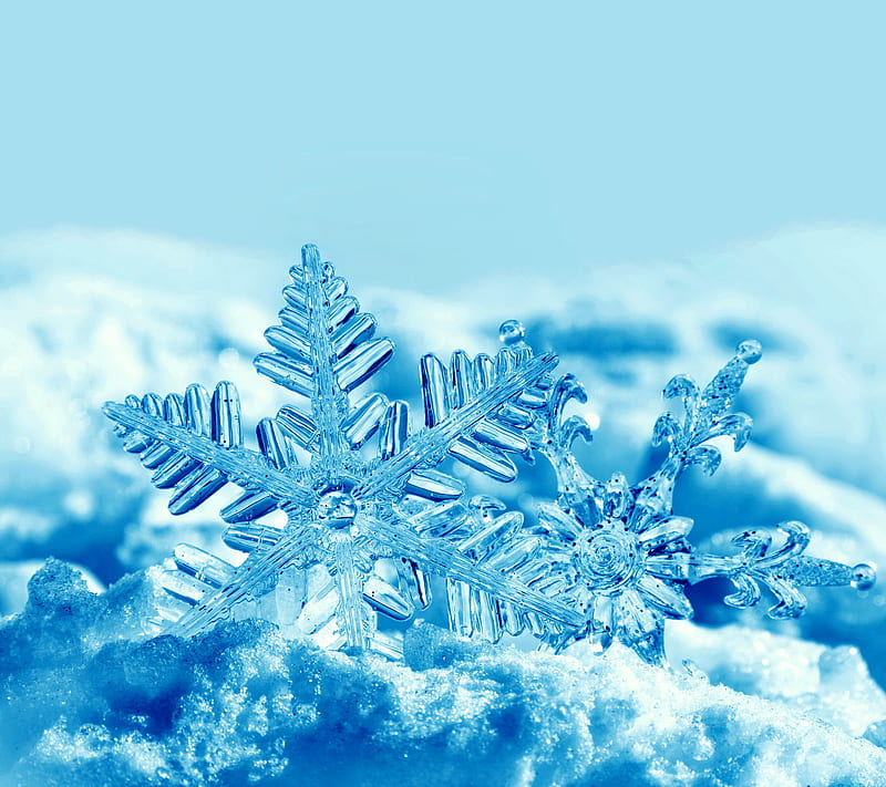 Snowflakes, blue, snow, snowflake, winter, HD wallpaper