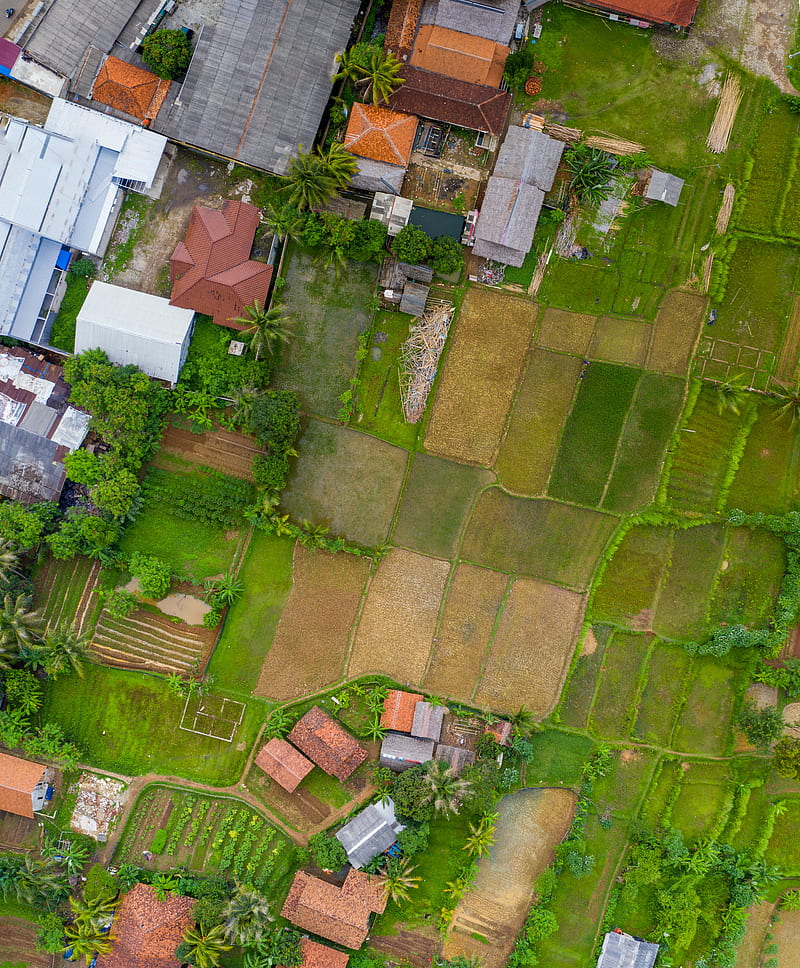 indonesia, village, agriculture, cropland, top view, rural, Landscape, HD phone wallpaper