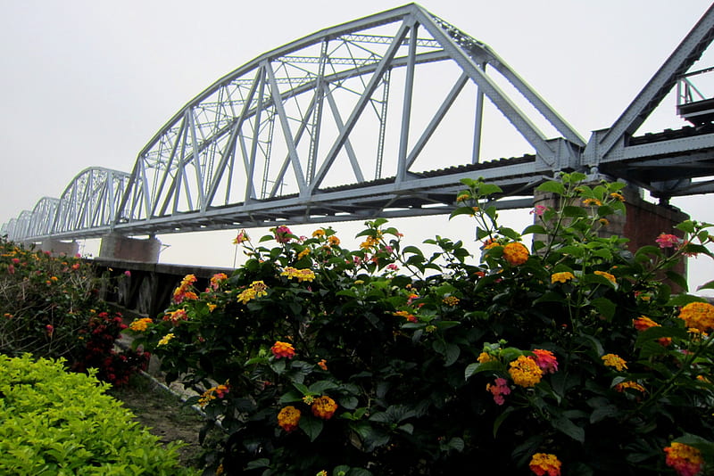 Iron and steel bridge, bridge, flowers, steel, ditch, Iron, HD wallpaper
