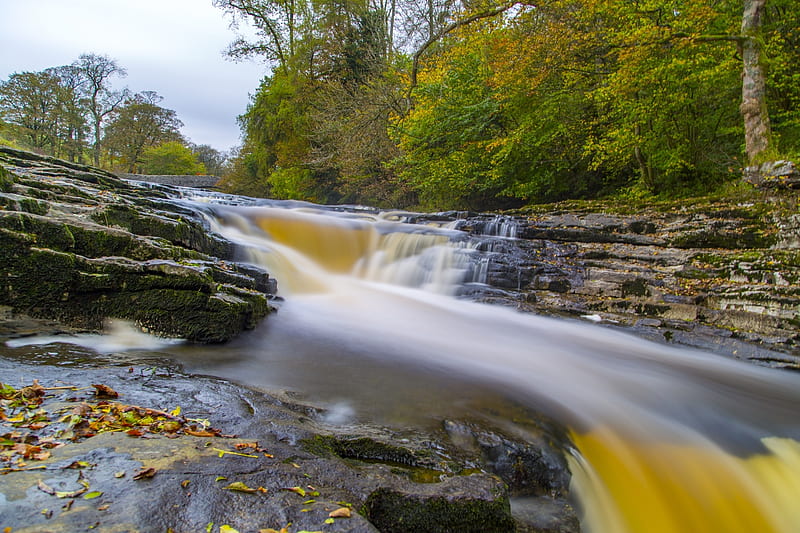 River in Autumn, North Yorkshire, Nature, Fall Season, Waterfalls, Leaves, Rivers, Autumn, Rocks, HD wallpaper