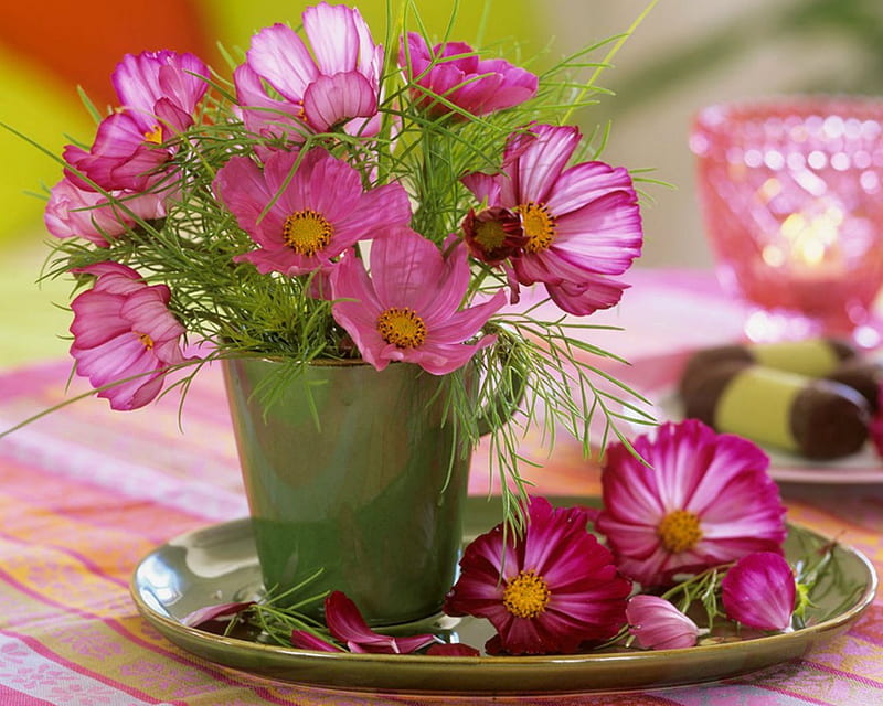 A posy of Cosmos, plate, cup, flowers, petals, HD wallpaper