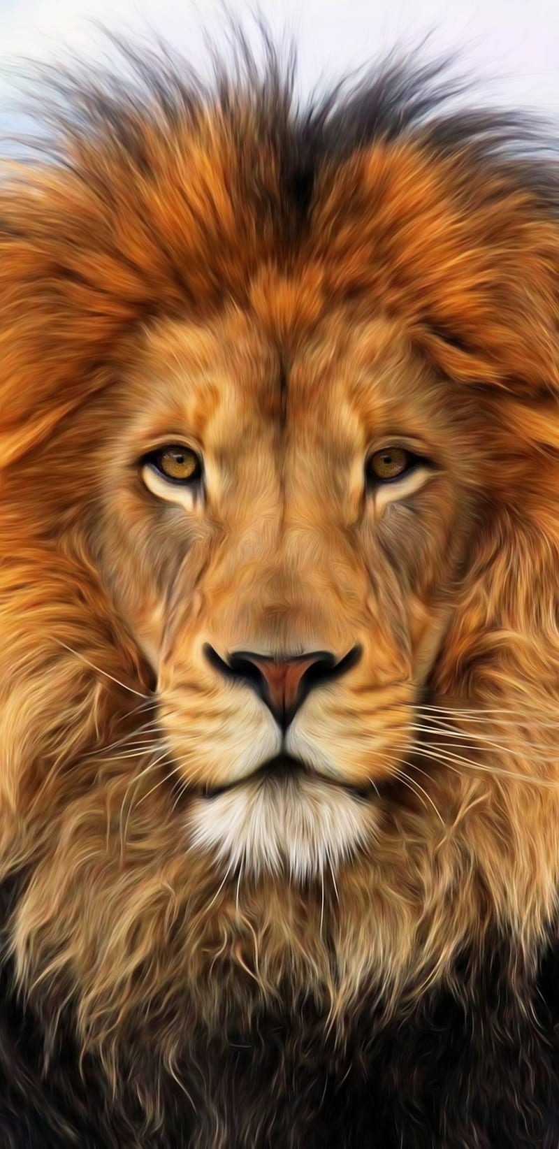 The king , face, jungle, king, land, lion, lions, my edit, HD phone wallpaper