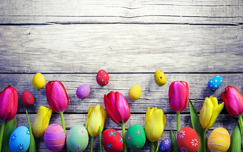 pink tulips, Easter, gray wooden background, easter eggs, easter decoration, HD wallpaper