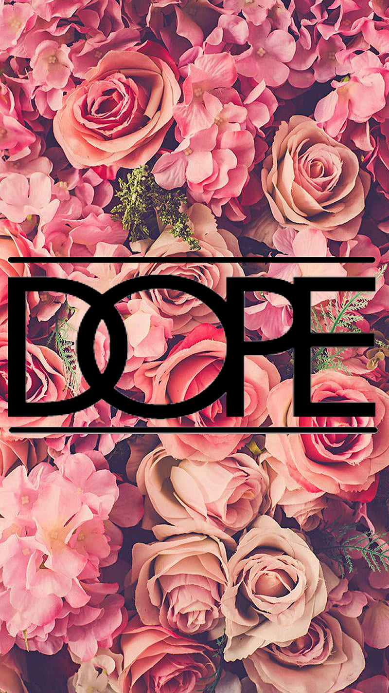 Dope roses, rose, HD phone wallpaper