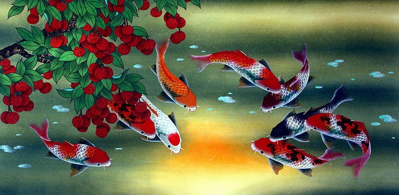 Koi n Lychee, art, lovely, fish, bonito, koi, sweet, pond, fruit, nice, water, oriental, feng shui, painting, lychee, beauty, chinese, HD wallpaper