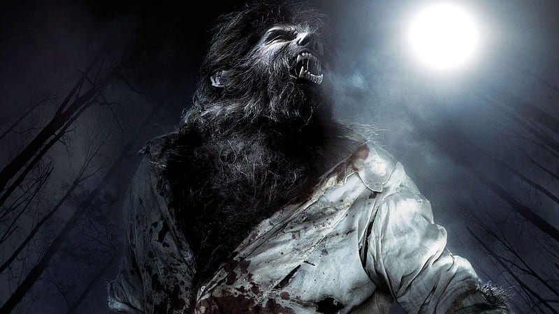 wolfman, Wolves Wallpapers HD / Desktop and Mobile Backgrounds