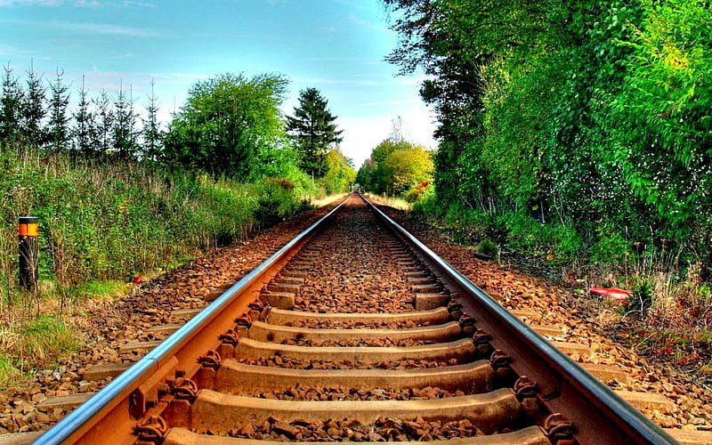 RAILWAY TRACK, track, forest, railway, staight, HD wallpaper