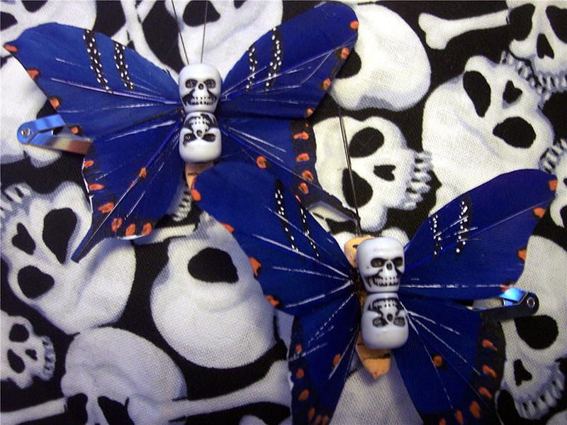 Skull Butterflys, bugs, butterflies, skulls, fantasy, gothic, dark, nature, butterflys, blue, HD wallpaper
