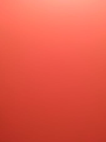 100 Plain Red Background s  Wallpaperscom