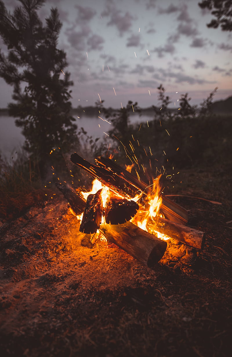 bonfire, fire, sparks, firewood, HD phone wallpaper